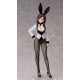 A Ninja and an Assassin Under One Roof Konoha Koga Bunny Ver. 1/6 FREEing