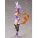 A Ninja and an Assassin Under One Roof Satoko Kusagakure Bunny Ver. 1/6 FREEing