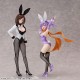 A Ninja and an Assassin Under One Roof Satoko Kusagakure Bunny Ver. 1/6 FREEing