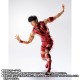 S.H.Figuarts T.M.Revolution RED HOT LIMITED EDITION Bandai Limited