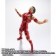 S.H.Figuarts T.M.Revolution RED HOT LIMITED EDITION Bandai Limited
