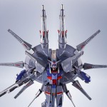 METAL ROBOT Spirits (SIDE MS) Legend Gundam Bandai Limited