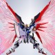 METAL ROBOT Spirits (SIDE MS) Destiny Gundam (Re:Coordinate) Exclusive Wings of Light & Effect Set Bandai Limited