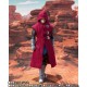 S.H.Figuarts Dragon Ball Legends Giblet Bandai Limited