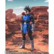 S.H.Figuarts Dragon Ball Legends Giblet Bandai Limited