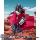 S.H.Figuarts Dragon Ball Legends Giblet Bandai Limited