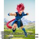S.H.Figuarts Dragon Ball Legends Giblet Bandai Limited