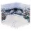 Dioramansion 150 Winter Blooming Camellias PLM