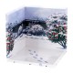 Dioramansion 150 Winter Blooming Camellias PLM