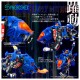 SYNERGENEX SHIELD-D-PRIME Takara Tomy