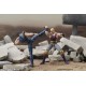 DIGACTION Fist of the North Star Souther DIG