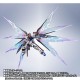 METAL ROBOT Spirits (SIDE MS) Strike Freedom Gundam Re:Coordinate Exclusive Light Wings & Full Burst Effect Set Bandai Limited