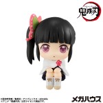 LookUp Demon Slayer Kimetsu no Yaiba Kanao Tsuyuri MegaHouse