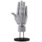 Takahiro Kagami ARTIST SUPPORT ITEM HAND MODEL MENS/R GRAY 1/1 Kotobukiya
