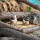 MEGA CAT PROJECT Attack on Titan Shingeki no Nyanko Survey Corps Group danyan! Pack of 8 MegaHouse