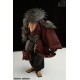 Gu Shu Shi Series Chousei 1/12 Shi Ke Ren Xing