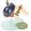 IMAGINARY DEVICE No.01 GOLD FISH Navy MODEL SQUAD