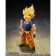 S.H.Figuarts Dragon Ball Z Super Saiyan Son Goku Warrior of Fury Bandai Limited