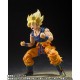 S.H.Figuarts Dragon Ball Z Super Saiyan Son Goku Warrior of Fury Bandai Limited