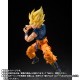 S.H.Figuarts Dragon Ball Z Super Saiyan Son Goku Warrior of Fury Bandai Limited