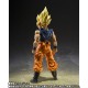 S.H.Figuarts Dragon Ball Z Super Saiyan Son Goku Warrior of Fury Bandai Limited