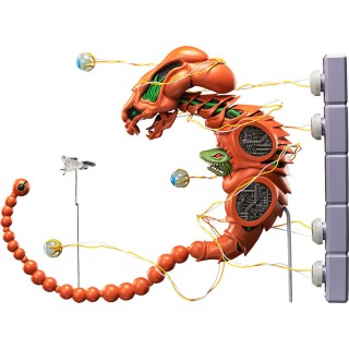 figma R-TYPE Dobkeratops FREEing