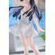 Oreimo 2 Kuroneko (Goko Ruri) Shironeko Ver. 1/6 Plush Set Solarain