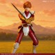 Revoltech Adol Christin Ys I & II Chronicles Ver. With bonus Kaiyodo