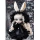 Pullip Mayle Groove