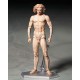 figma The Table Museum Vitruvian Man FREEing