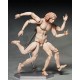 figma The Table Museum Vitruvian Man FREEing