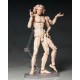 figma The Table Museum Vitruvian Man FREEing