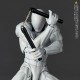 Revoltech Option Parts Expansion Pack Vol.2 Kaiyodo