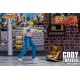 Final Fight Cody Travers Storm Collectibles