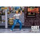 Final Fight Cody Travers Storm Collectibles