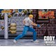 Final Fight Cody Travers Storm Collectibles
