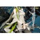 Arknights Kaltsit Esperanta 1/7 Myethos