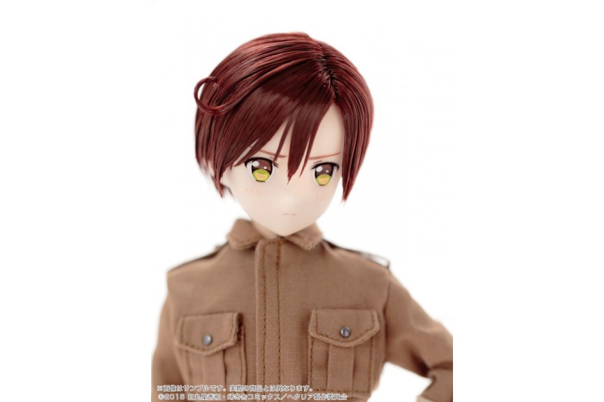 AZONE asterisk Collection Series 008 Hetalia The World Twinkle 1/6 Doll American 