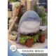 DS-184 Moana Shark Maui BEAST KINGDOM