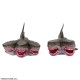 MSS 3 Headed Shark Attack Standard Ver. CCP