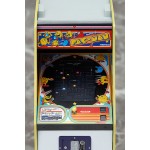 Namco Arcade Game Machine Collection 1/12 Pac-Man FREEing