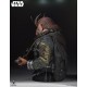 Rogue One (A Star Wars Story) Mini Bust Bistan Gentle Giant
