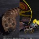 S.H. Monster Arts Mothra Special Color Ver. Bandai