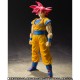 SH S.H. Figuarts Dragon Ball Z DBZ : Kami to Kami Son Goku SSJ God Bandai Premium
