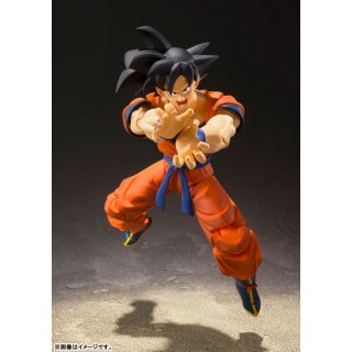 SH S.H. Figuarts Dragon Ball Z DBZ Son Goku Saiyan Grown on Earth Bandai