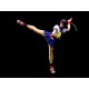 SH S.H. Figuarts Sakura Kasugano Street Fighter IV Bandai