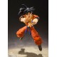 SH S.H. Figuarts Dragon Ball Z DBZ Son Goku Saiyan Grown on Earth Bandai