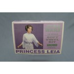  (T4E2) Star Wars Princess Leia 1/6 soft vinyl kit vintage 1994 Kaiyodo 