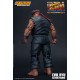 Ultra Street Fighter II Action Figure Awoken to Satsui no Hado Ryu Storm Collectibles