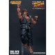 Ultra Street Fighter II Action Figure Awoken to Satsui no Hado Ryu Storm Collectibles